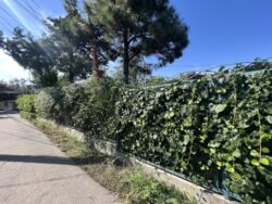 ĳ  12 . . .  15,3  1