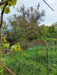 Ділянка землі 6 соток Золотий Берег фото 4 Ділянка землі 6 соток Золотий Берег фото 4