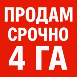 ��������� ������ �������� ����������� ������, �����, �������, ������������ ���� 1