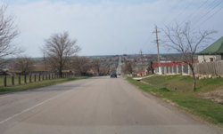 Прямокутна ділянка 25сот в с.Василівка. фото 4 Прямокутна ділянка 25сот в с.Василівка. фото 4