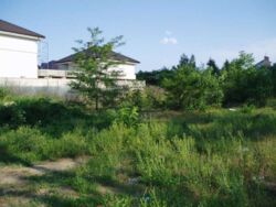 Фасадна ділянка 9 соток фото 6 Фасадна ділянка 9 соток фото 6