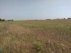 Земельный участок под застройку фото 4 Земельный участок под застройку фото 4