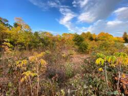 ĳ 10   14 . . .  .  6