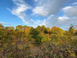 ĳ 10   14 . . .  .  9