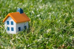 Ділянка на Вавилова/Архітекторська фото 4 Ділянка на Вавилова/Архітекторська фото 4