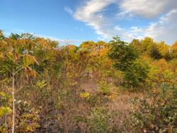 ĳ 10   14 . . .  .  5