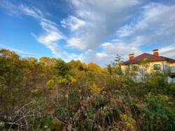 ĳ 10   14 . . .  .  7