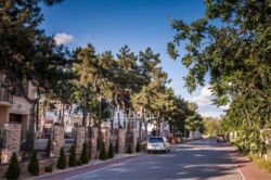 Продаж 7 соток землі в КМ Сосновий берег фото 4 Продаж 7 соток землі в КМ Сосновий берег фото 4