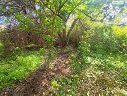 Ділянка землі 6 соток Золотий Берег фото 2 Ділянка землі 6 соток Золотий Берег фото 2