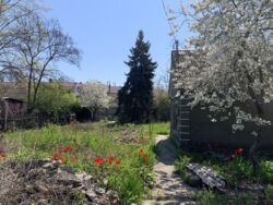 Ділянка на Фонтані. фото 3 Ділянка на Фонтані. фото 3