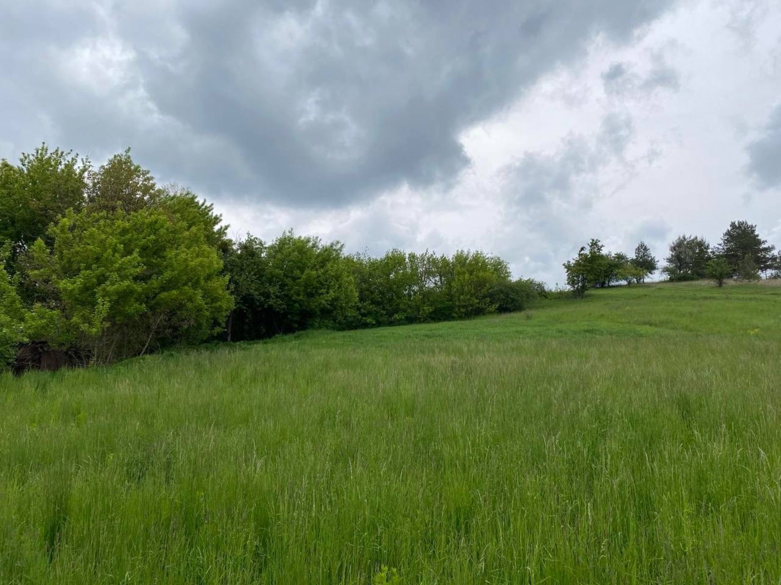 Земельна ділянка фото 1 Земельна ділянка фото 1