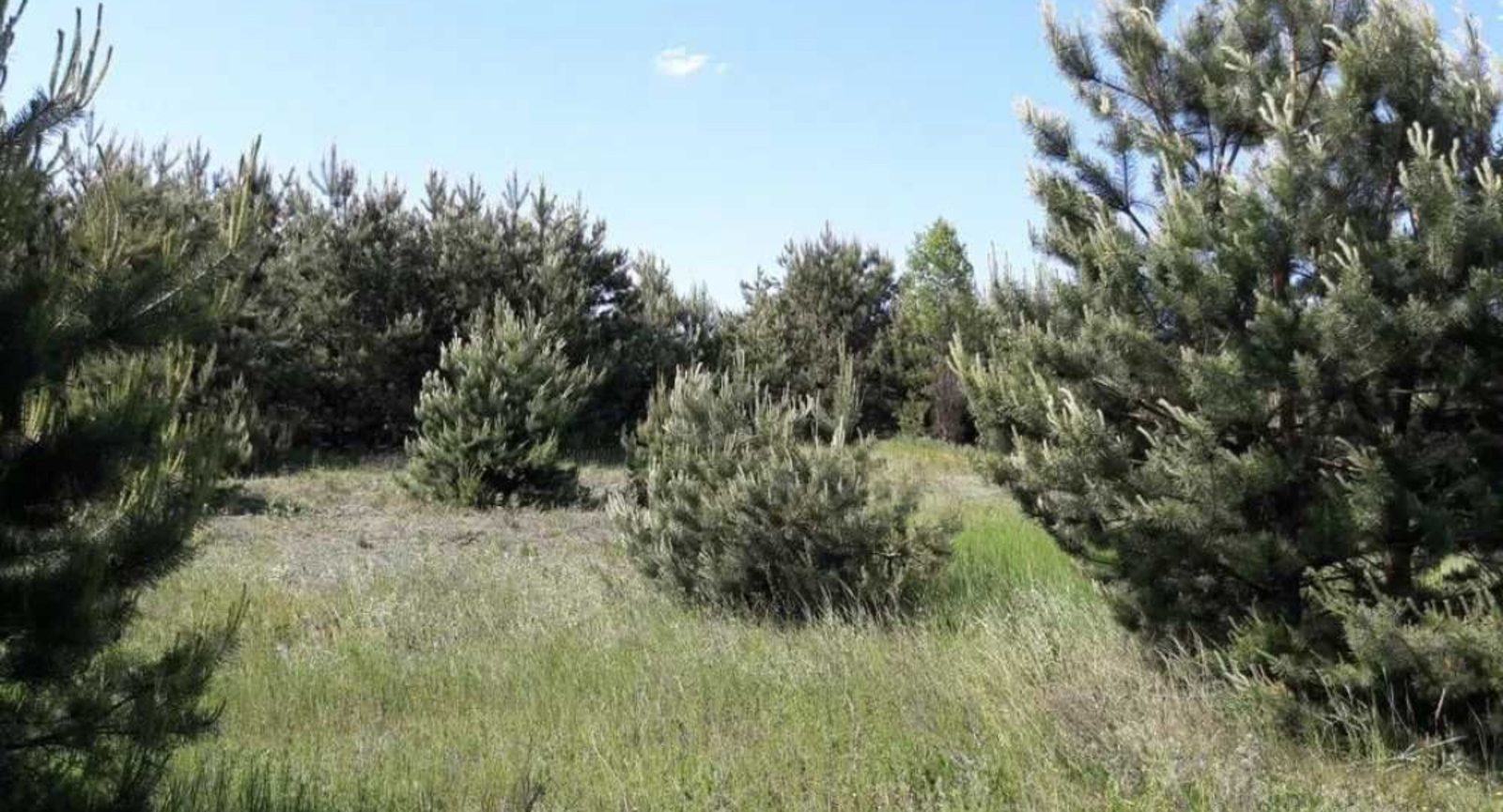 Земельна ділянка фото 1 Земельна ділянка фото 1