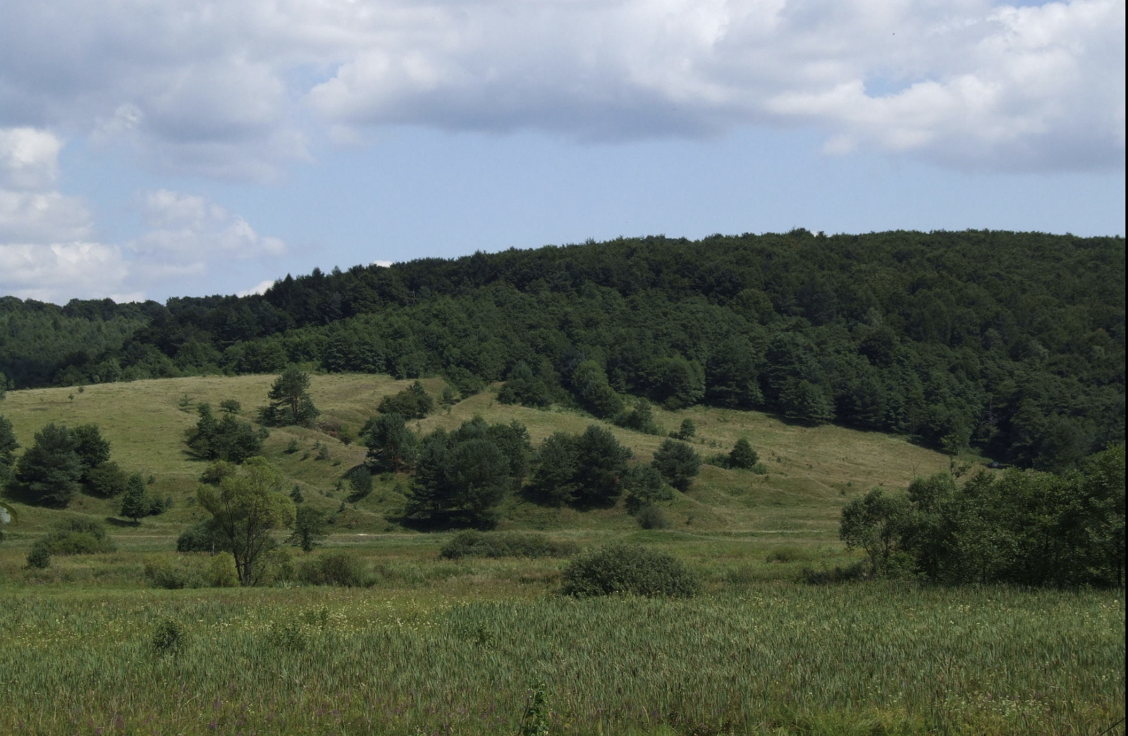 Продаж земельних ділянок під житлову забудову (Львівська обл.) фото 1 Продаж земельних ділянок під житлову забудову (Львівська обл.) фото 1