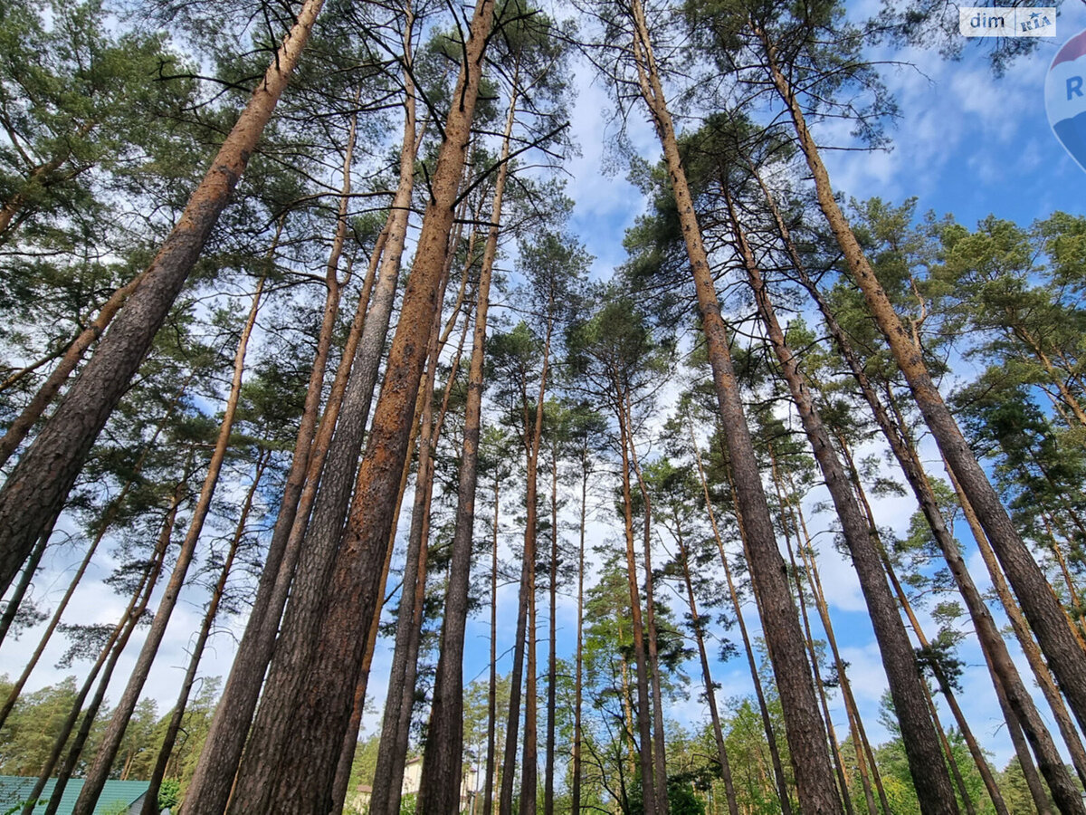 Продається ділянка Київ фото 1 Продається ділянка Київ фото 1