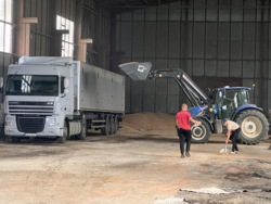 ��������� ������ ��������, ������������, �������� ���� 12