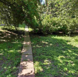 Продаж прямокутної ділянки, рельєф рівний. фото 2 Продаж прямокутної ділянки, рельєф рівний. фото 2