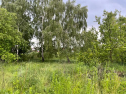 Продається ділянка Київ, Конча Заспа , велика дамба 5 км , Козин фото 15 Продається ділянка Київ, Конча Заспа , велика дамба 5 км , Козин фото 15