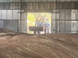 ��������� ������ ��������, ������������, �������� ���� 10