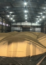 ��������� ������ ��������, ������������, �������� ���� 1