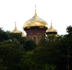 Продаж прямокутної ділянки, рельєф рівний. фото 5 Продаж прямокутної ділянки, рельєф рівний. фото 5