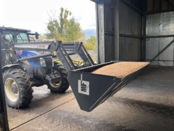 ��������� ������ ��������, ������������, �������� ���� 8