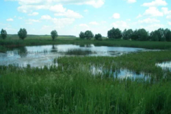 Земельна ділянка фото 2 Земельна ділянка фото 2