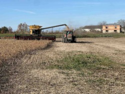 ��������� ������ ��������, ������������, �������� ���� 5