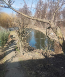 Ділянка для бізнесу з двома банками. фото 2 Ділянка для бізнесу з двома банками. фото 2