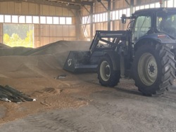 ��������� ������ ��������, ������������, �������� ���� 3