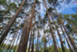 Продається ділянка Київ фото 19 Продається ділянка Київ фото 19