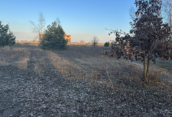 Земельна ділянка с Березівка фото 6 Земельна ділянка с Березівка фото 6