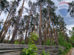 Продається ділянка Київ фото 5 Продається ділянка Київ фото 5