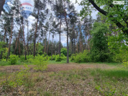 Продається ділянка Київ фото 12 Продається ділянка Київ фото 12