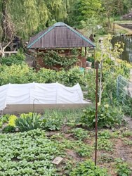 Ділянка для бізнесу з двома банками. фото 11 Ділянка для бізнесу з двома банками. фото 11