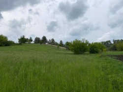 Земельна ділянка фото 2 Земельна ділянка фото 2