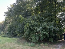 Продається ділянка Київ, Святошинський, м. Житомирська фото 3 Продається ділянка Київ, Святошинський, м. Житомирська фото 3