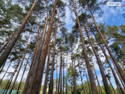 Продається ділянка Київ фото 17 Продається ділянка Київ фото 17