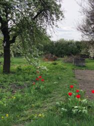 Продається ділянка Київ, Святошинський фото 4 Продається ділянка Київ, Святошинський фото 4