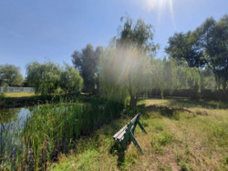 Продається ділянка Київ, Обухівський р-н, Конча-Заспа, Козин Козин, вул. Козацьк фото 2 Продається ділянка Київ, Обухівський р-н, Конча-Заспа, Козин Козин, вул. Козацьк фото 2