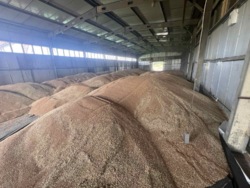 ��������� ������ ��������, ������������, �������� ���� 11