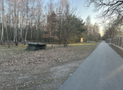 Земельна ділянка с Березівка фото 7 Земельна ділянка с Березівка фото 7