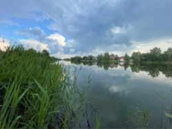 Продається ділянка Київ, Конча Заспа , велика дамба 5 км , Козин фото 5 Продається ділянка Київ, Конча Заспа , велика дамба 5 км , Козин фото 5