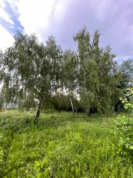 Продається ділянка Київ, Конча Заспа , велика дамба 5 км , Козин фото 14 Продається ділянка Київ, Конча Заспа , велика дамба 5 км , Козин фото 14