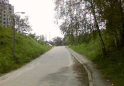 Продаж прямокутної ділянки, рельєф рівний. фото 6 Продаж прямокутної ділянки, рельєф рівний. фото 6