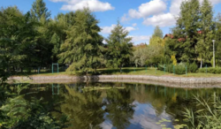 Продається ділянка Київ, Козин, Конча Заспа, на Дамбе. фото 8 Продається ділянка Київ, Козин, Конча Заспа, на Дамбе. фото 8