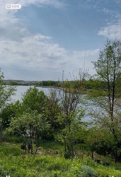 Продається ділянка Київ, Ворзель, с. Мироцкое фото 2 Продається ділянка Київ, Ворзель, с. Мироцкое фото 2