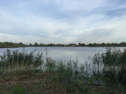 Продається ділянка Київ, Осокорки, затока Дніпра фото 2 Продається ділянка Київ, Осокорки, затока Дніпра фото 2