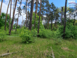 Продається ділянка Київ фото 13 Продається ділянка Київ фото 13