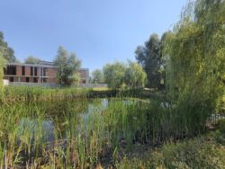 Продається ділянка Київ, Обухівський р-н, Конча-Заспа, Козин Козин, вул. Козацьк фото 1 Продається ділянка Київ, Обухівський р-н, Конча-Заспа, Козин Козин, вул. Козацьк фото 1