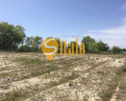 Продається ділянка Київ, Конча Заспа, на дамбе, Козин фото 6 Продається ділянка Київ, Конча Заспа, на дамбе, Козин фото 6